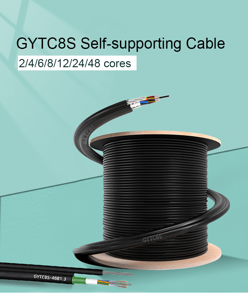 GTTC8_01.jpg